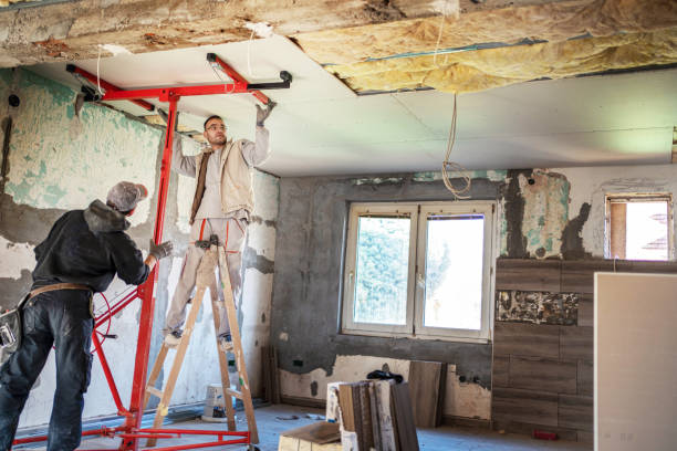 Best Insulation Replacement Services  in El Mirage, AZ