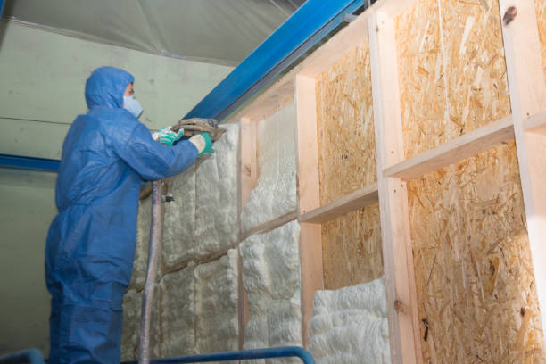 Best Local Insulation Services  in El Mirage, AZ